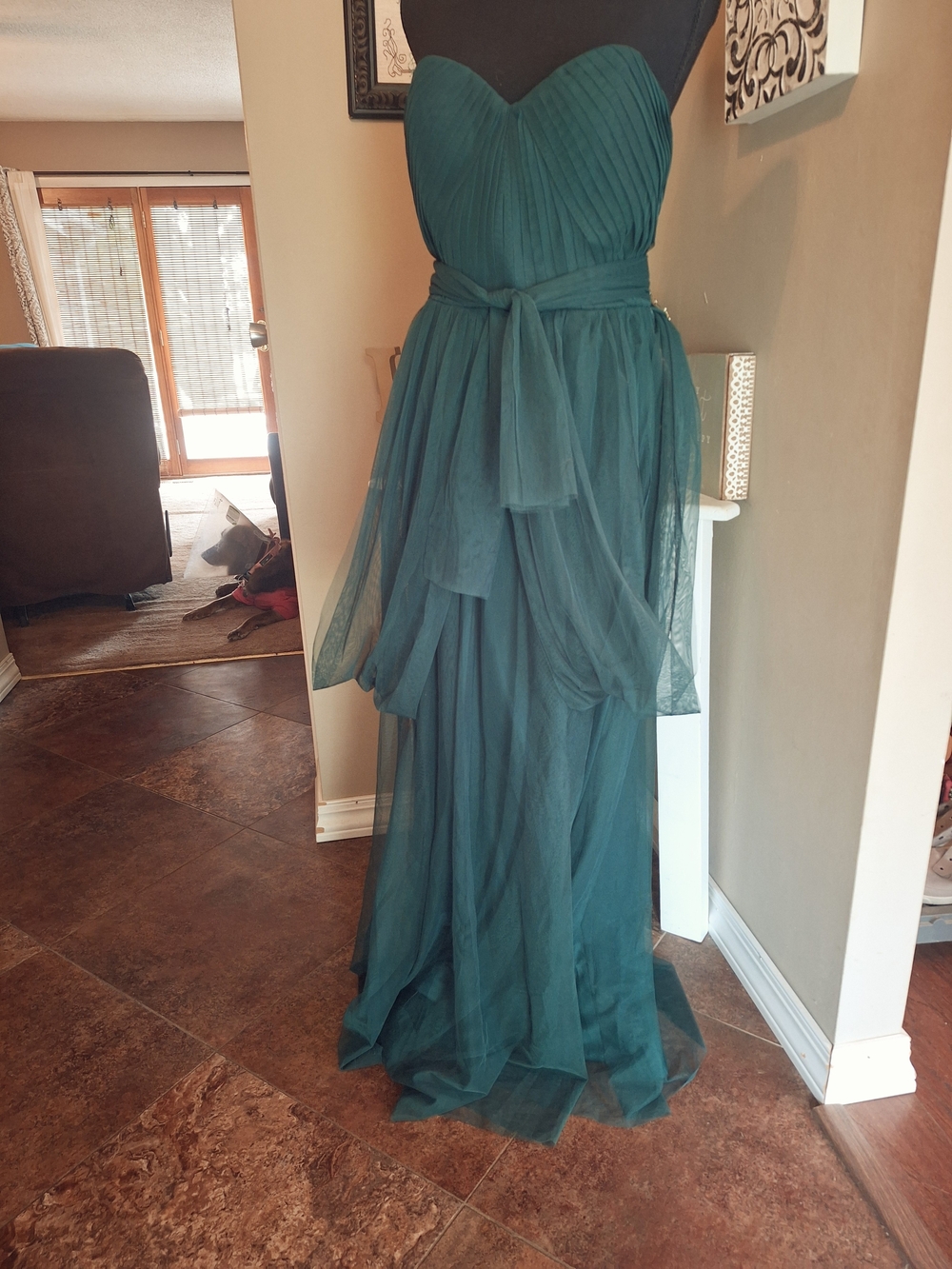 NWT Birdy Grey Emerald Convertible Christina Formal Dress Sz L - Picture 4 of 16